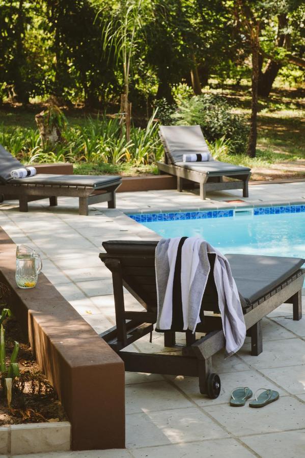 Monzi Safari Lodge Japaratinga Ngoại thất bức ảnh