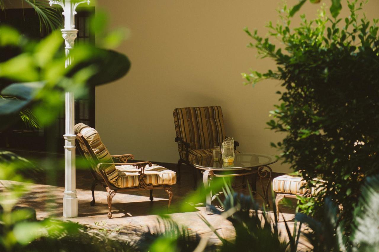 Monzi Safari Lodge Japaratinga Ngoại thất bức ảnh